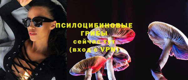 дживик Аркадак