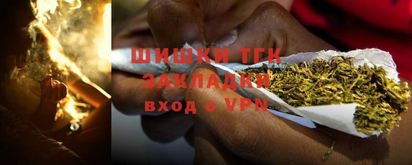 МДПВ Тавда