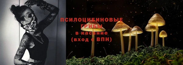 мяу мяу мука Армянск