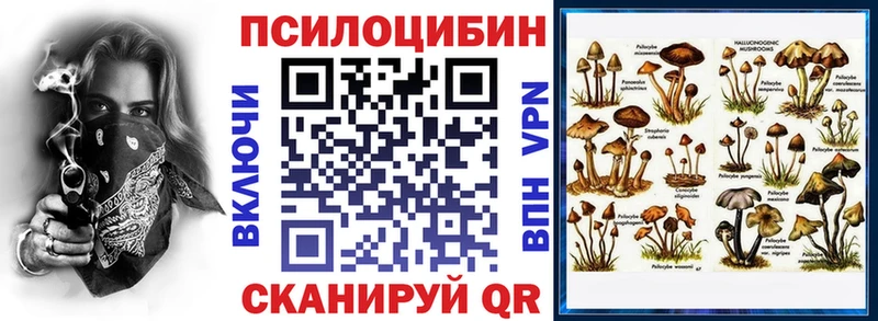 Псилоцибиновые грибы Psilocybine cubensis  MEGA ТОР  Дзержинск  цена наркотик 