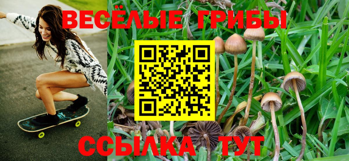 Псилоцибиновые грибы мухоморы Дзержинск